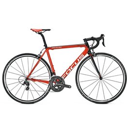 Focus Focus Izalco Max Ultegra 2017