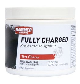 Hammer Nutrition Hammer Nutrition Fully Charged