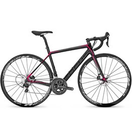 Focus Focus Cayo Disc Donna Ultegra 51cm