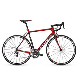 Focus Focus Cayo Evo Team 48cm