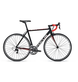 Focus Focus Cayo AL 105 2018