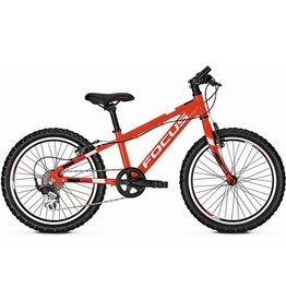 Focus Focus Raven Rookie 20 Inch 2019