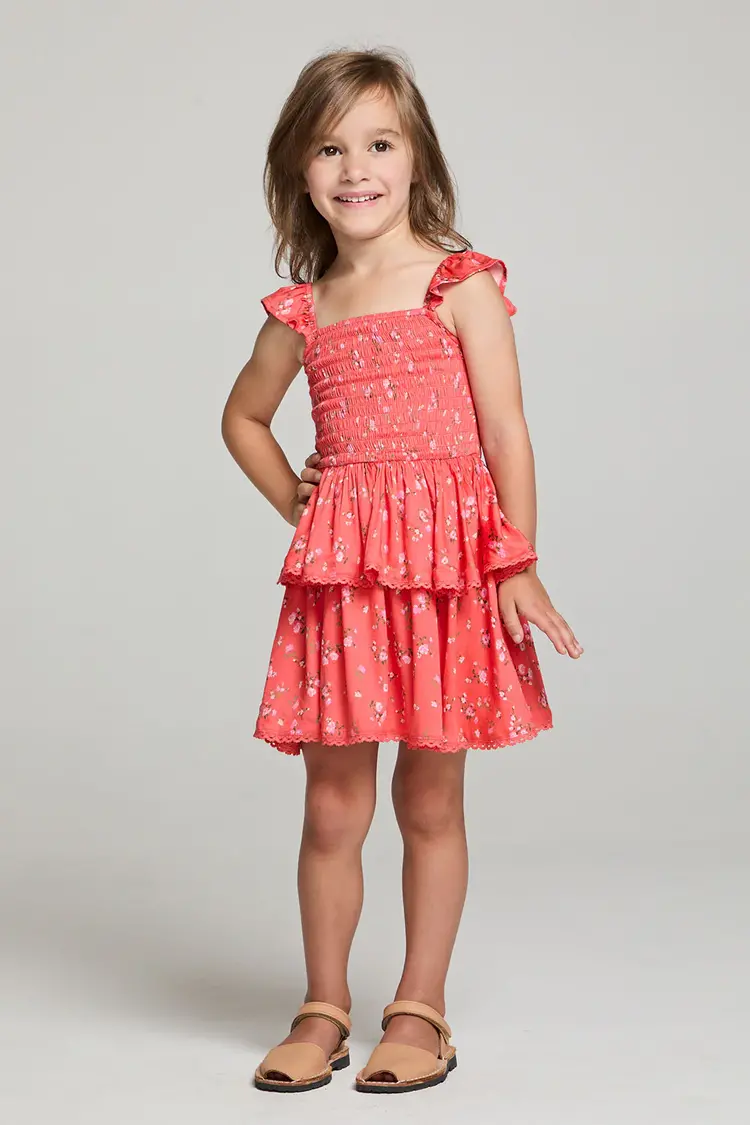 Saltwater Luxe Raynbow Mini Dress Crimson