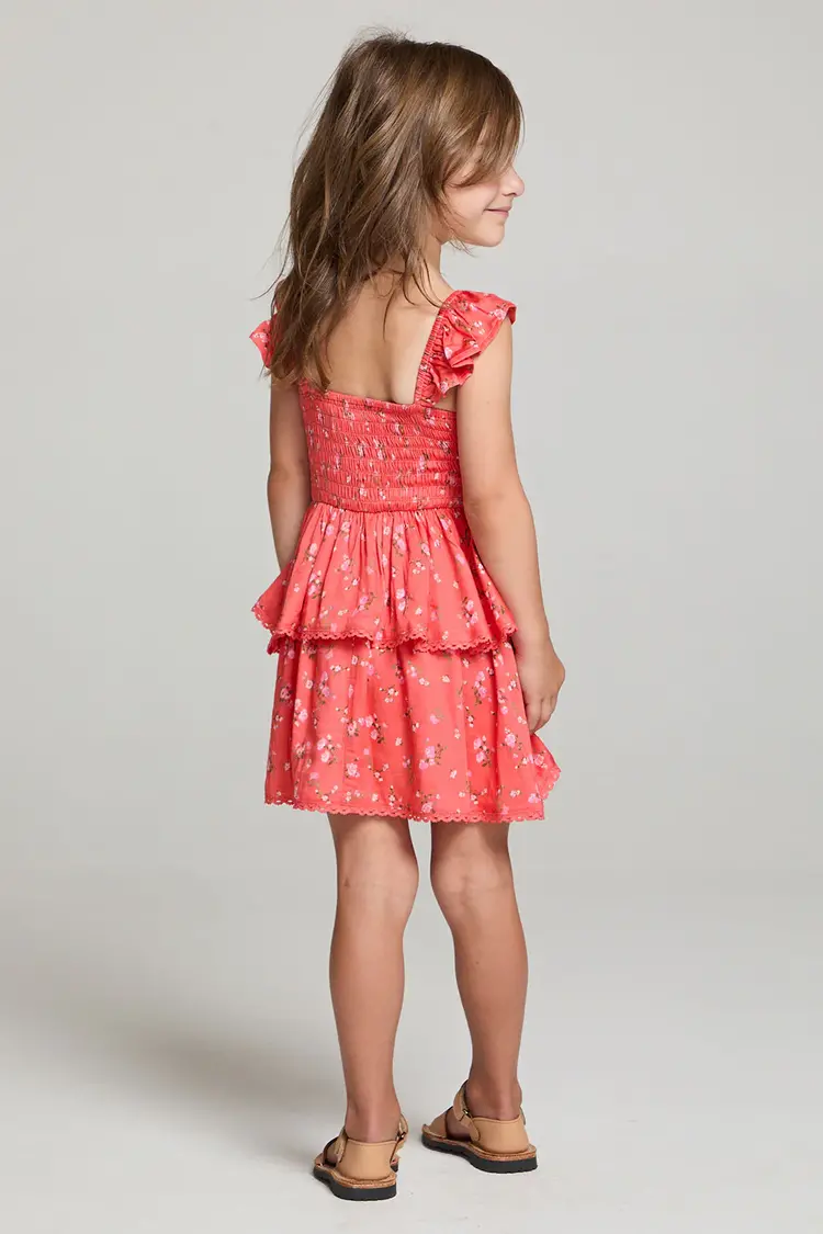 Saltwater Luxe Raynbow Mini Dress Crimson