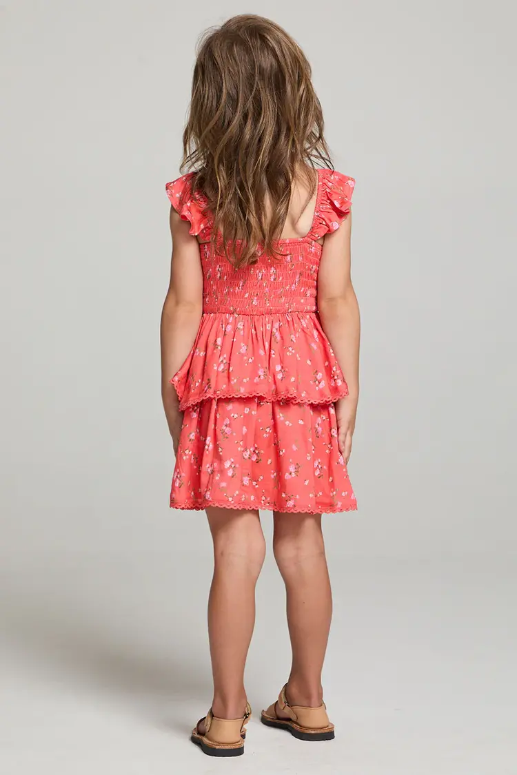 Saltwater Luxe Raynbow Mini Dress Crimson