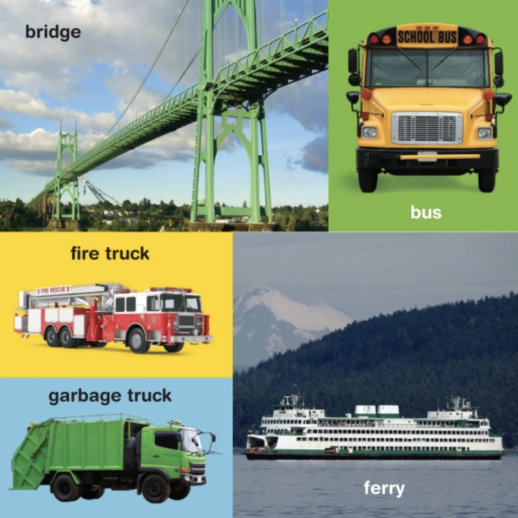 Penguin Books My First 100 PNW Words