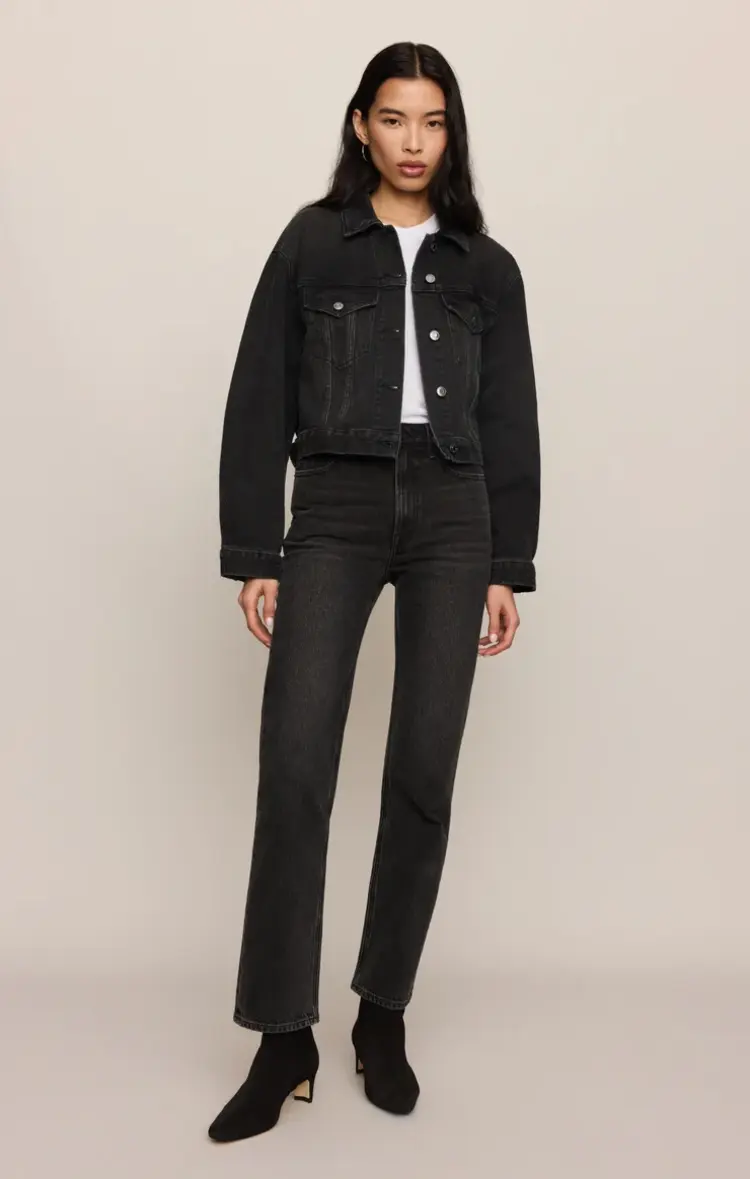 Z Supply The Daily Denim Jacket Backstage