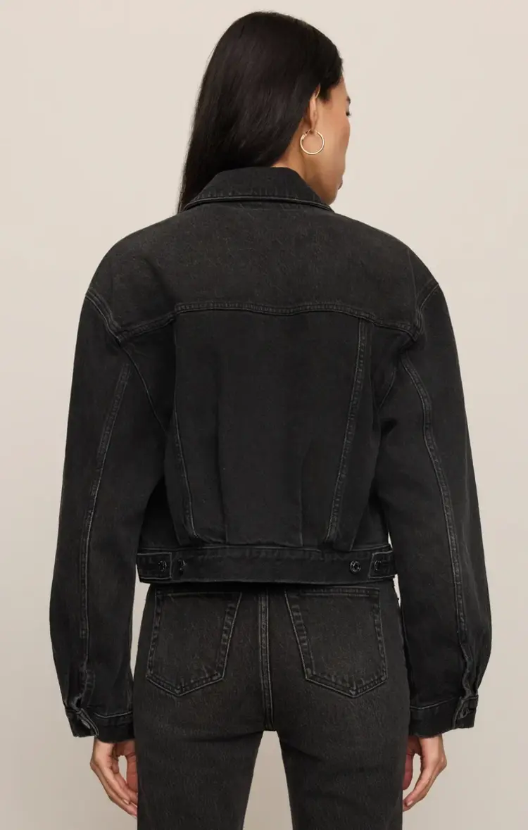 Z Supply The Daily Denim Jacket Backstage