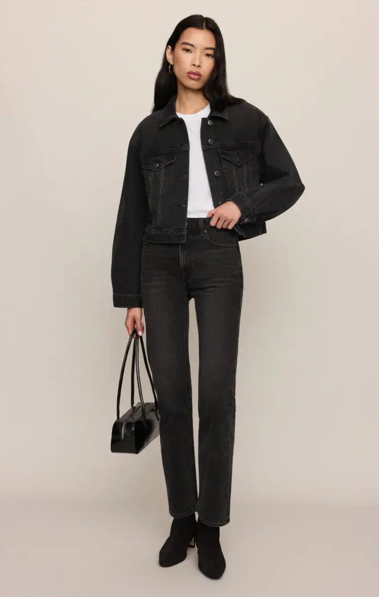 Z Supply The Daily Denim Jacket Backstage