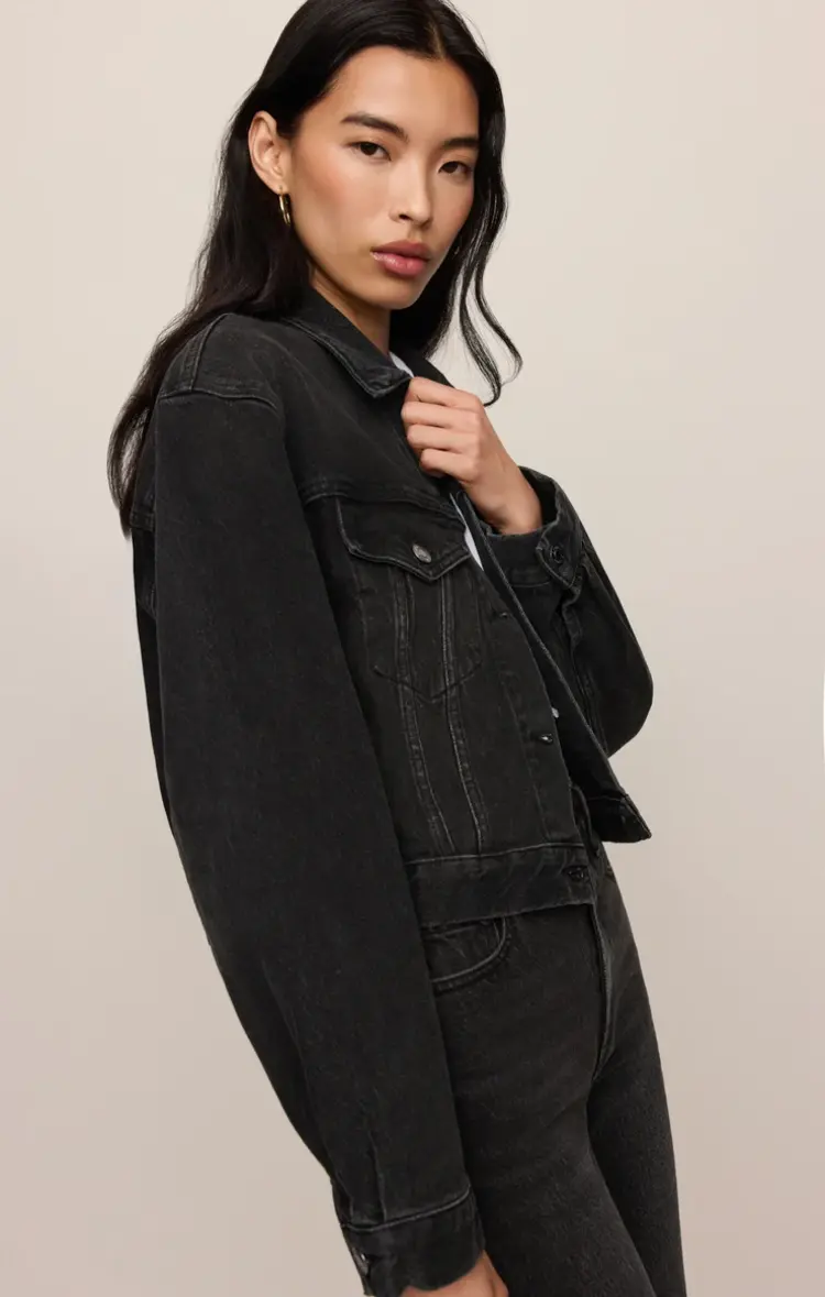 Z Supply The Daily Denim Jacket Backstage