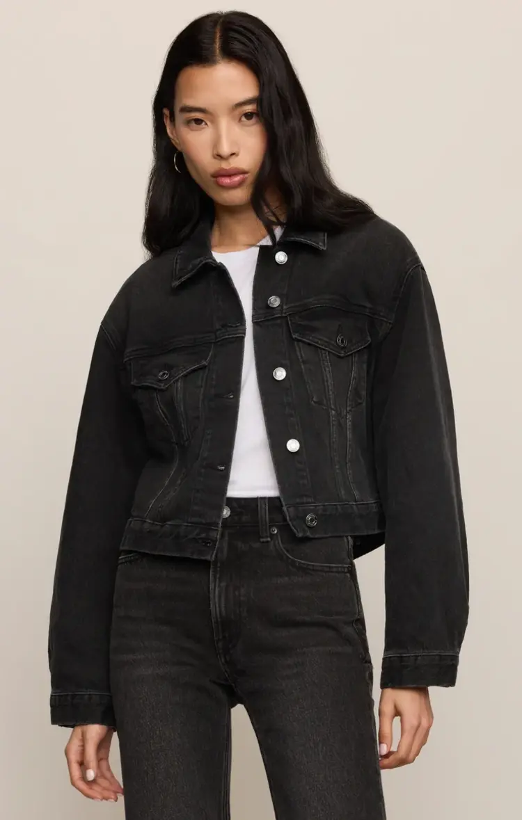 Z Supply The Daily Denim Jacket Backstage