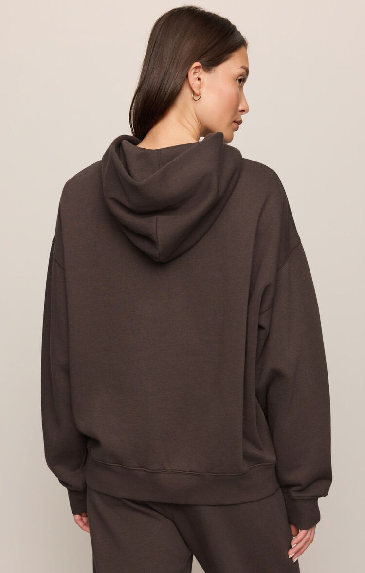 Z Supply First Quarter Hoodie Cocoa Bean