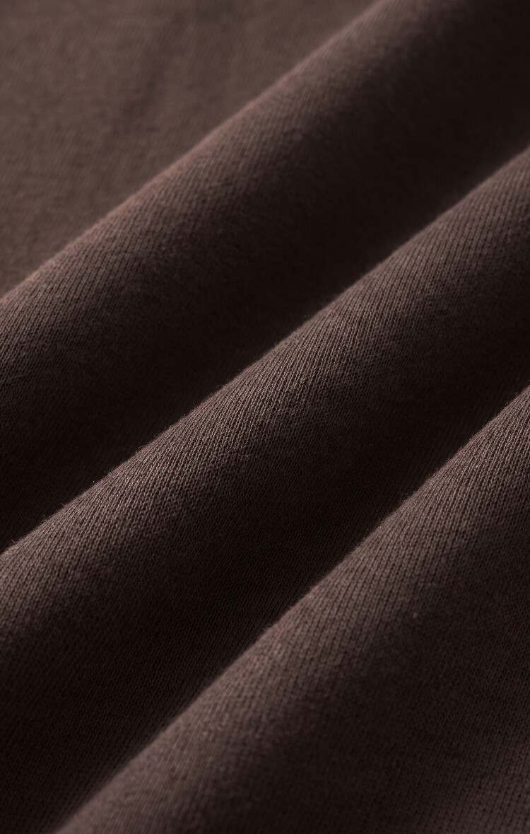 Z Supply First Quarter Hoodie Cocoa Bean