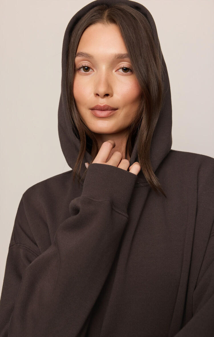 Z Supply First Quarter Hoodie Cocoa Bean