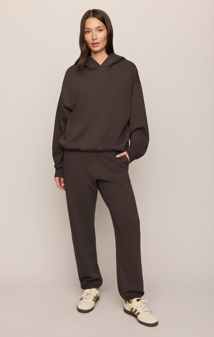Z Supply First Quarter Hoodie Cocoa Bean