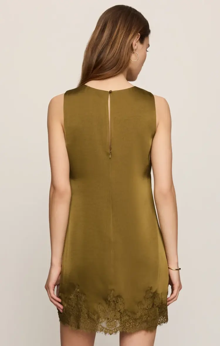 Z Supply Meadow Muse Lace Mini Dress