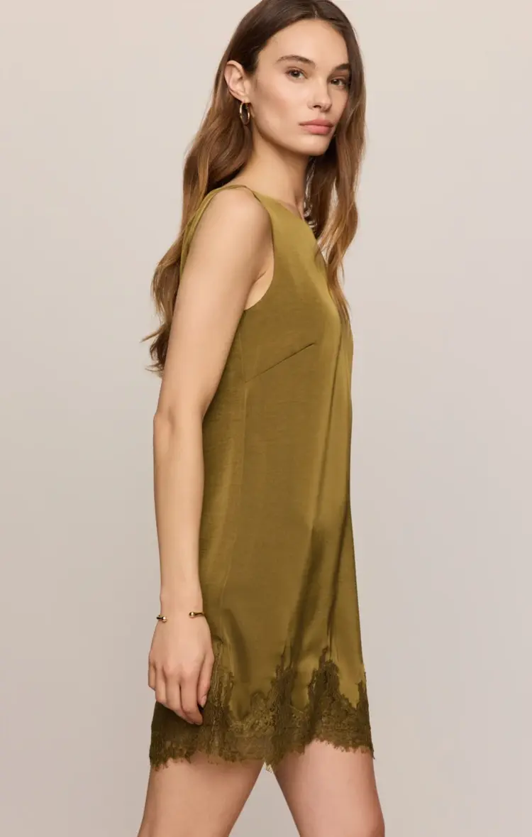 Z Supply Meadow Muse Lace Mini Dress