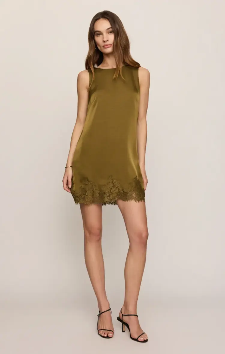 Z Supply Meadow Muse Lace Mini Dress