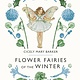 Warne Flower Fairies of the Winter