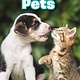 Ripley Publishing Pets (Ripley Readers, Lvl 3)