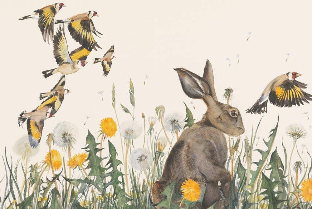The Lost Words by Robert Macfarlane - Linden Tree Books