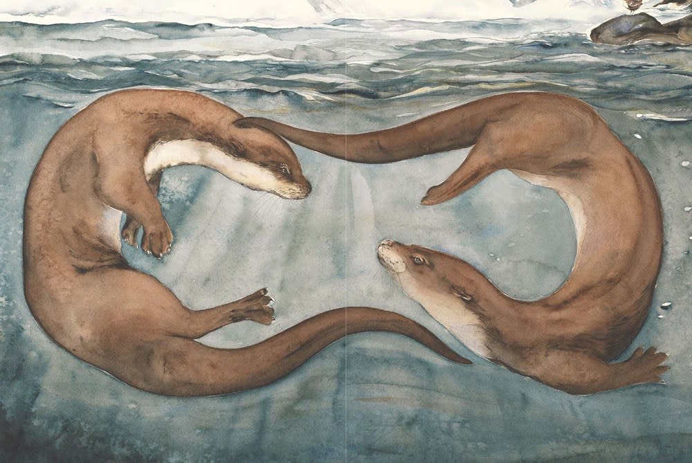 Anansi International The Lost Words