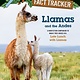 Random House Books for Young Readers Magic Tree House Fact Tracker: Llamas and the Andes