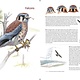 Knopf What It's Like to Be a Bird: ...What Birds Are Doing, and Why