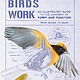 The Experiment How Birds Work: ...Form and Function, from Bones to Beak