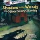 Scholastic Inc. Mister Shivers: Shadow in the Woods and Other Scary Stories
