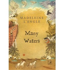 A Wrinkle in Time 04 Many Waters