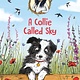 Walker Books US Jasmine Green Rescues: A Collie Called Sky