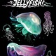 Penguin Young Readers Jellyfish! (Penguin Readers, Lvl 4)