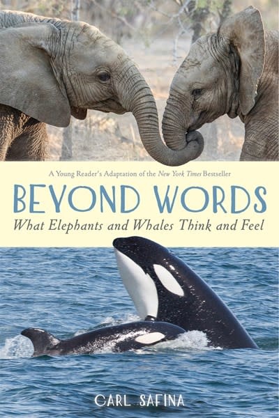 Square Fish Beyond Words: What Elephants and Whales Think and Feel (A Young Reader's Adaptation)