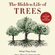 Greystone Books The Hidden Life of Trees: What They Feel, How They Communicate—Discoveries from A Secret World
