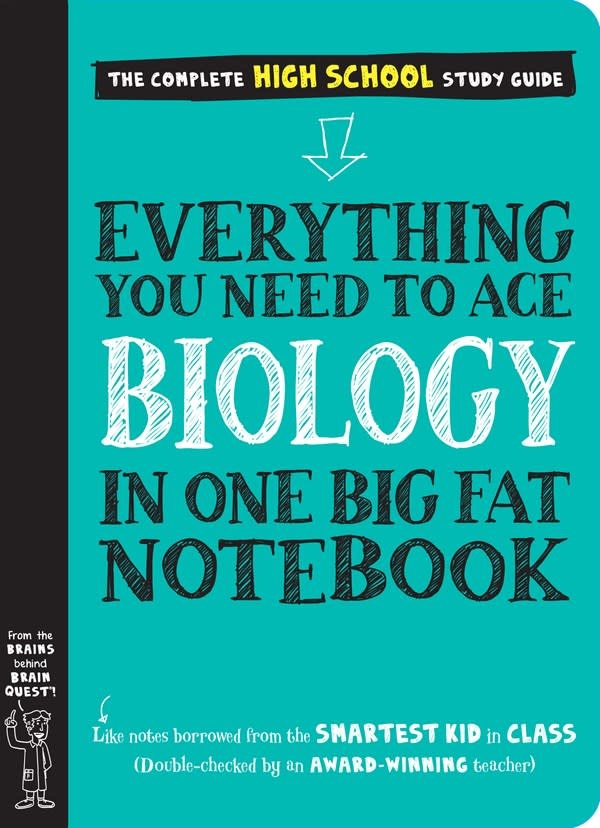 Everything You Need to Ace Math in One Big Fat Notebook - Paperback 