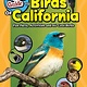 Adventure Publications The Kids' Guide to Birds of California