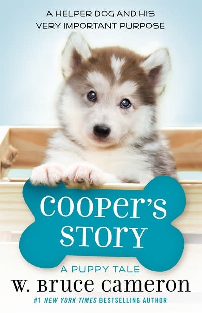 Starscape Cooper's Story