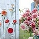 Chronicle Books Floret Farm's Discovering Dahlias: A Guide to Growing & Arranging Magnificent Blooms