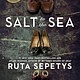 Penguin Books Salt to the Sea