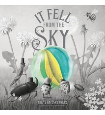 Simon & Schuster Books for Young Readers It Fell from the Sky