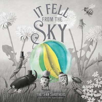 Simon & Schuster Books for Young Readers It Fell from the Sky