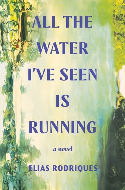 All the Water I've Seen Is Running: A novel