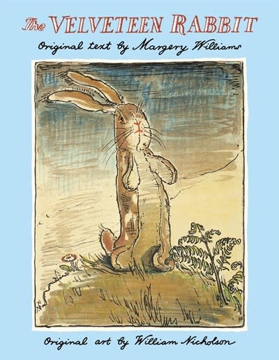 Doubleday Books for Young Readers The Velveteen Rabbit