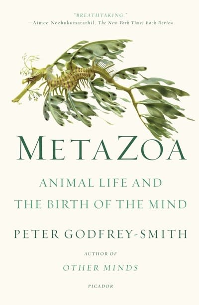 Picador Metazoa: Animal Life & the Birth of the Mind