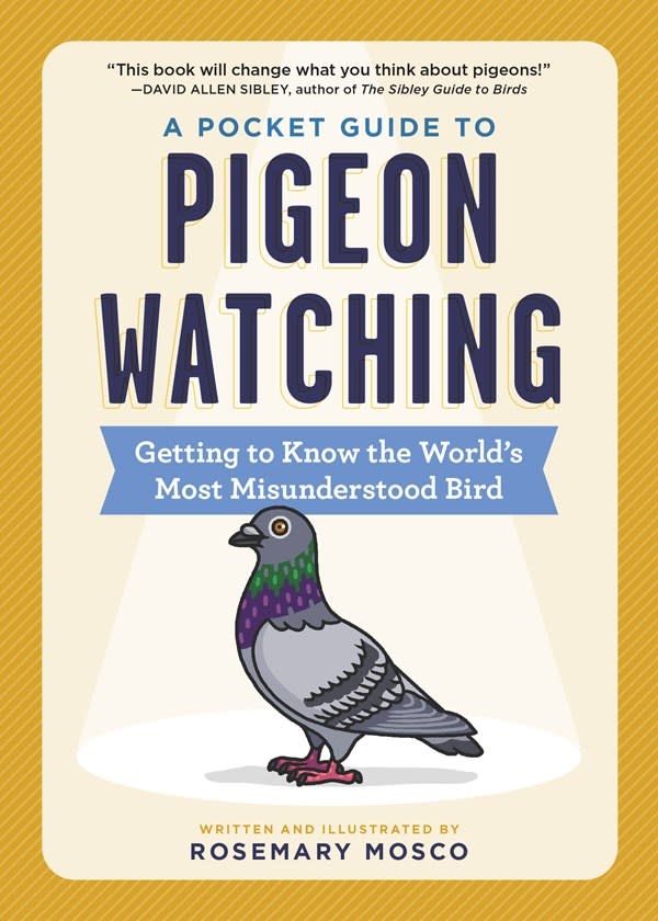 Workman Publishing Company A Pocket Guide to Pigeon Watching: Getting to Know the World's Most Misunderstood Bird