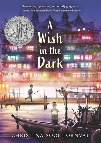 Candlewick A Wish in the Dark