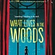 Sourcebooks Young Readers What Lives in the Woods