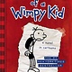 Amulet Books Diary of a Wimpy Kid 01