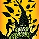 Dutton Books for Young Readers A Tale Dark & Grimm 02 In a Glass Grimmly